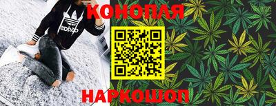гашик Бузулук