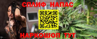 гашик Бузулук