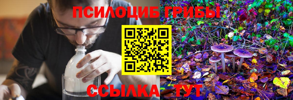 Тельмана  Галлюциногенные грибы Magic Shrooms  Вход с VPN 